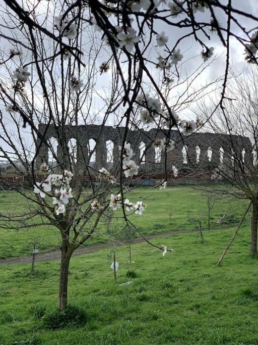 Appartamento Casetta Fari Metro A Tuscolana Roma