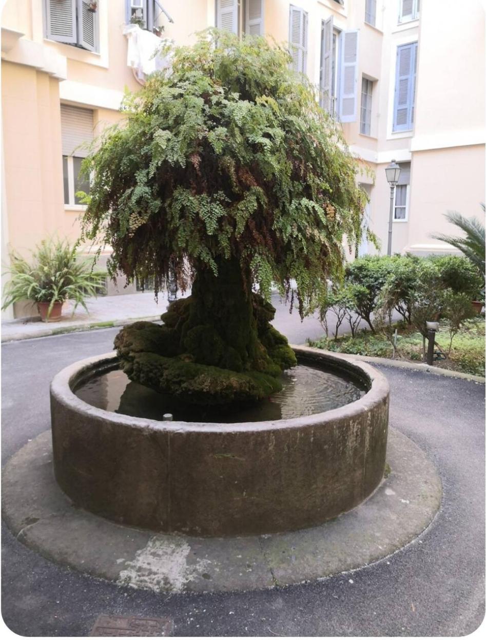 Accommodatie bij particulieren Unconventional Rome