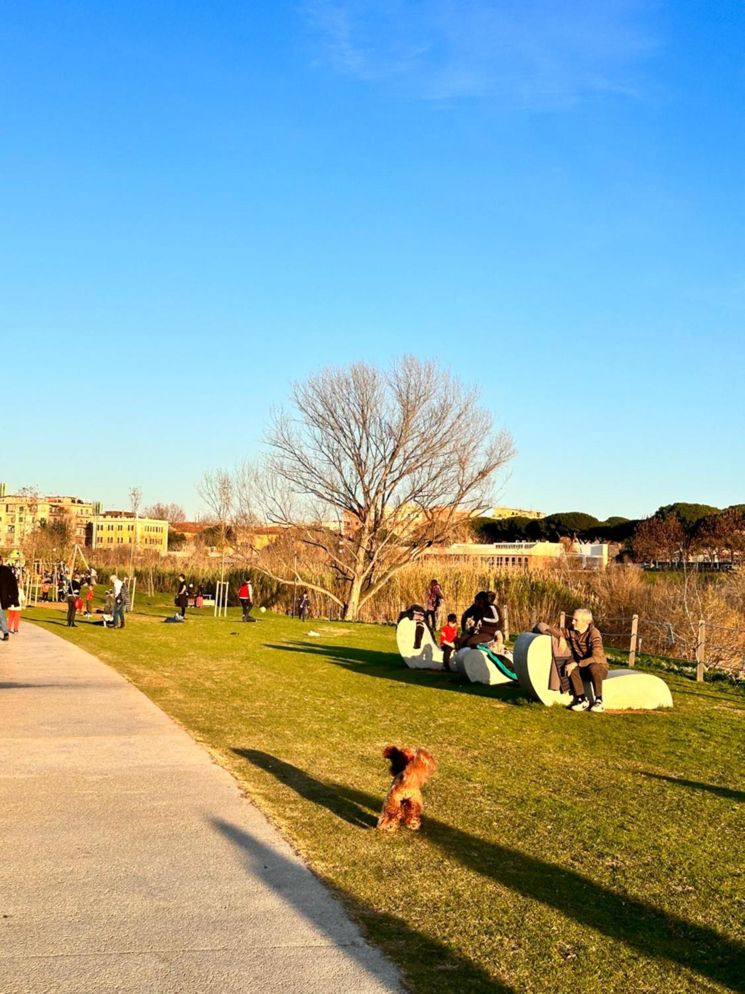 Apartment Alpharomaholidays Rome