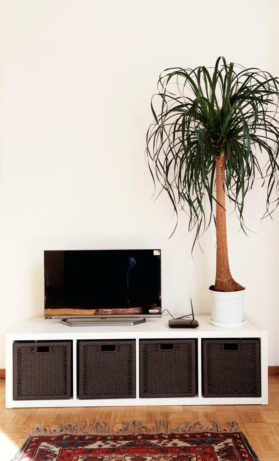 Oasi Urbana: Confort E Stile Apartamento *