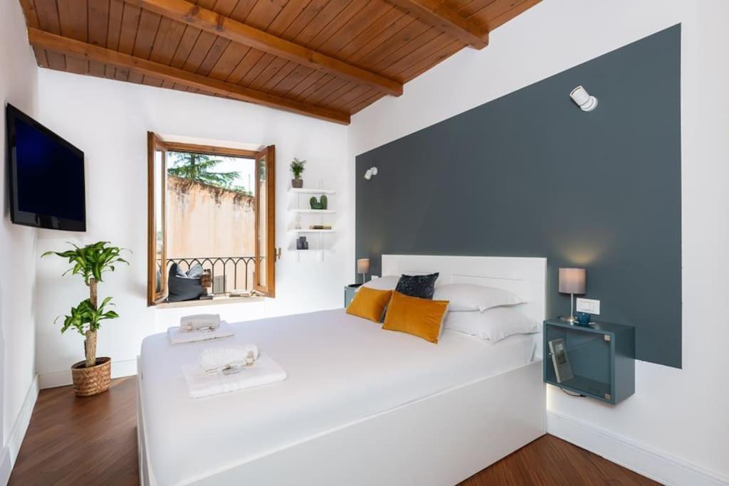 Panoramic Flat Barberini *
