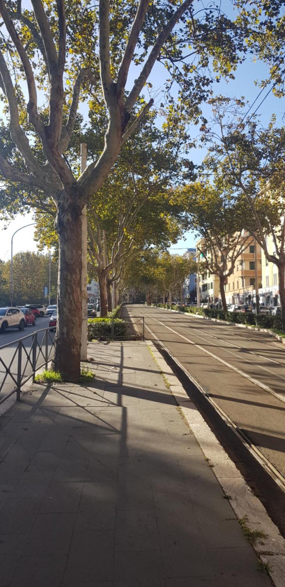 Trastevere Residenze Accommodatie bij particulieren