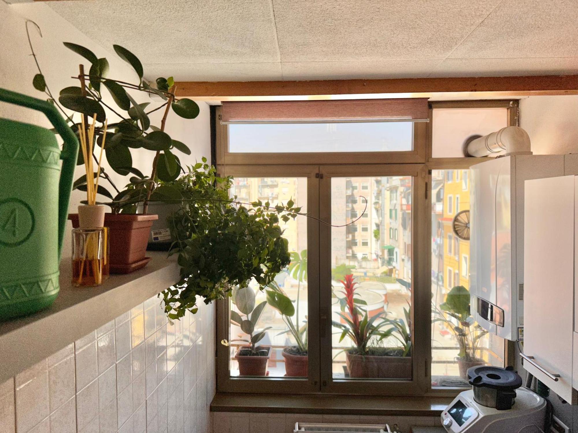 Apartment Grimaldi House