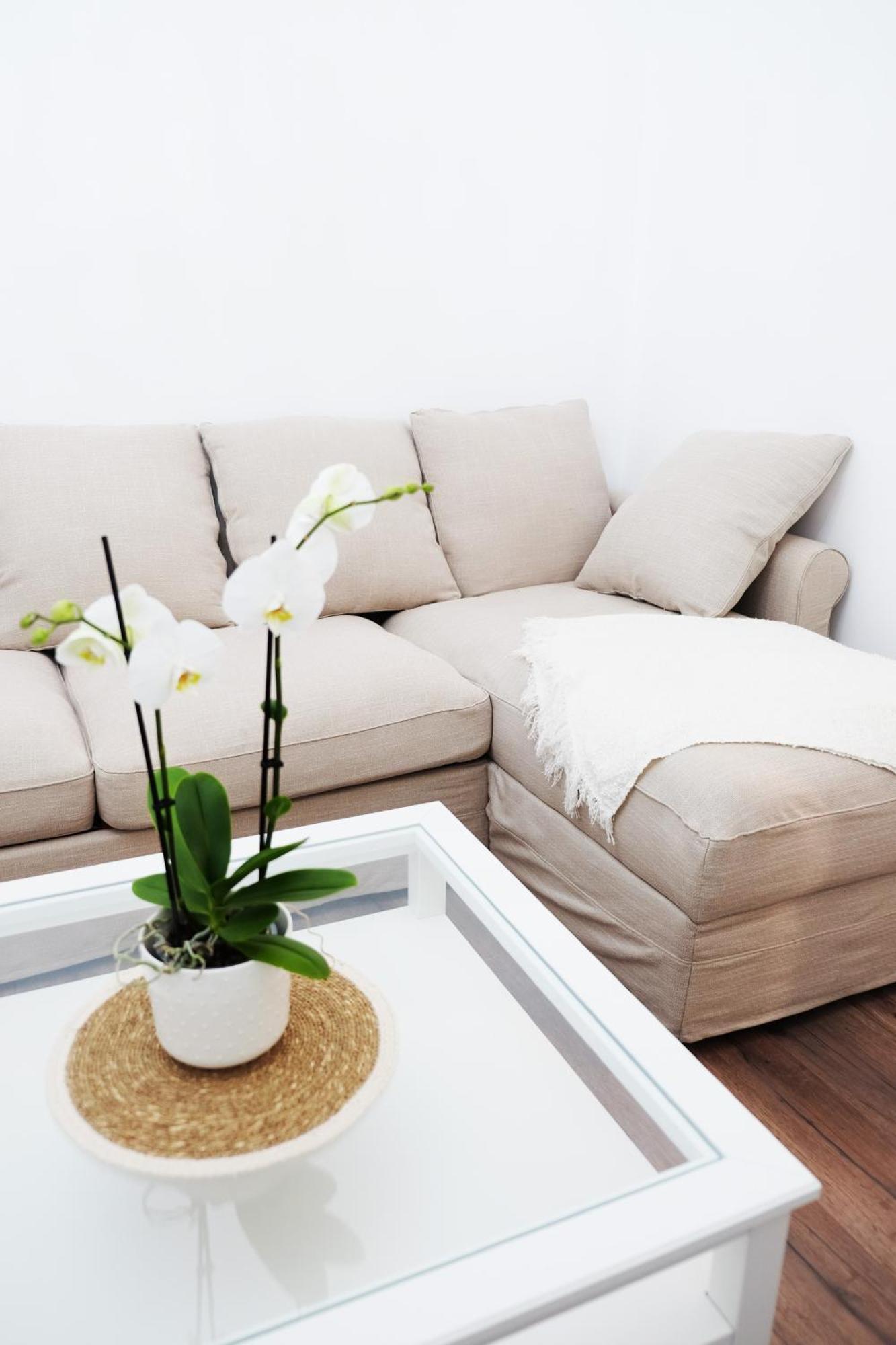 Casa Nicolao Apartment Rome
