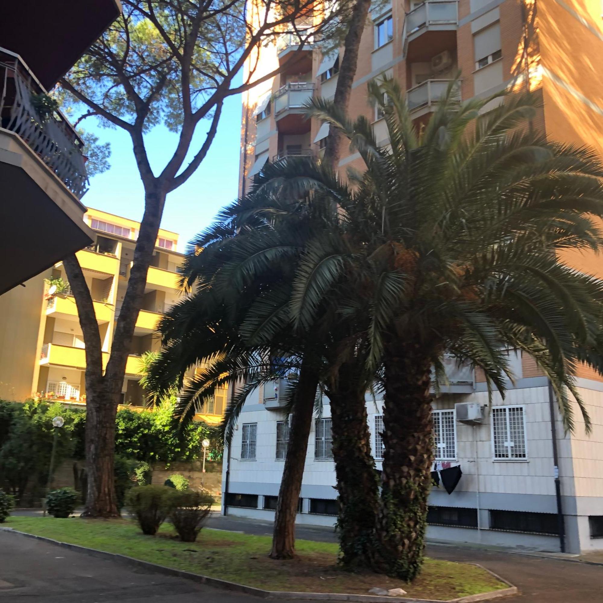 Apartment Gens Romana *
