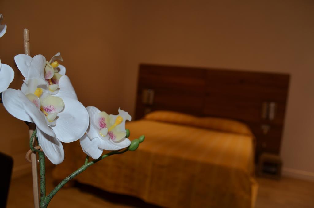 Bed & Breakfast 5rooms Rome