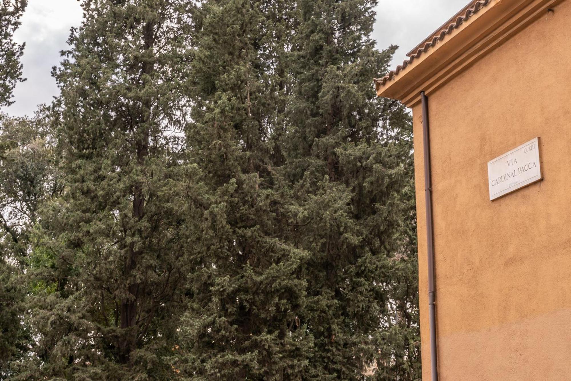Pmt Rome