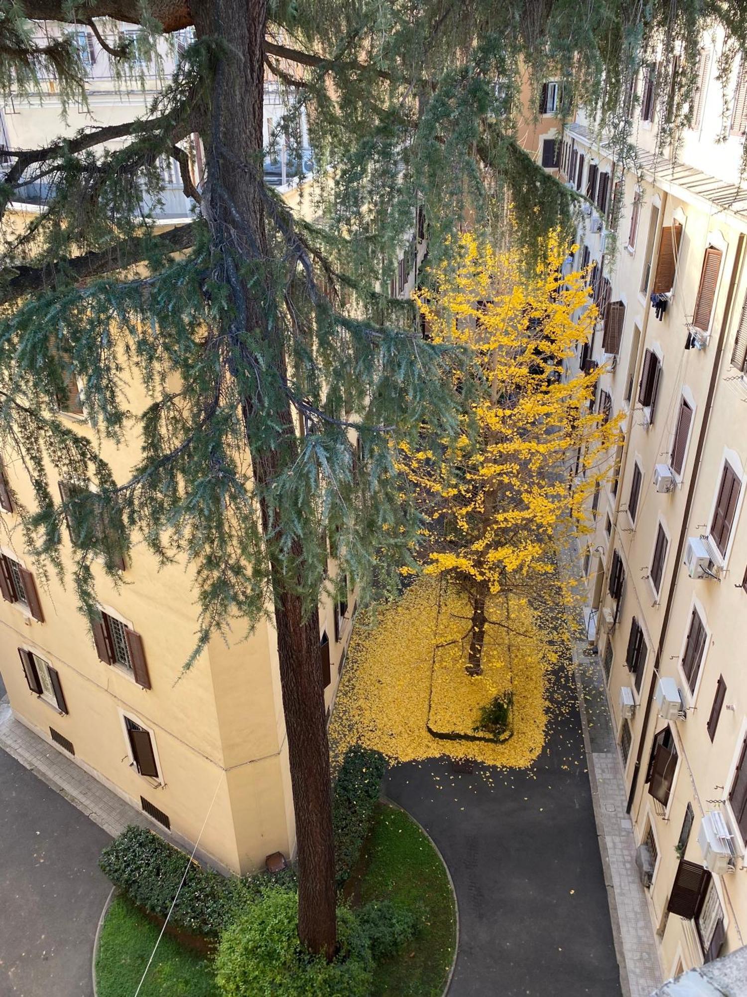 Apartment Destination San Giovanni Homey Flat - 3 Bdrs - Metro A