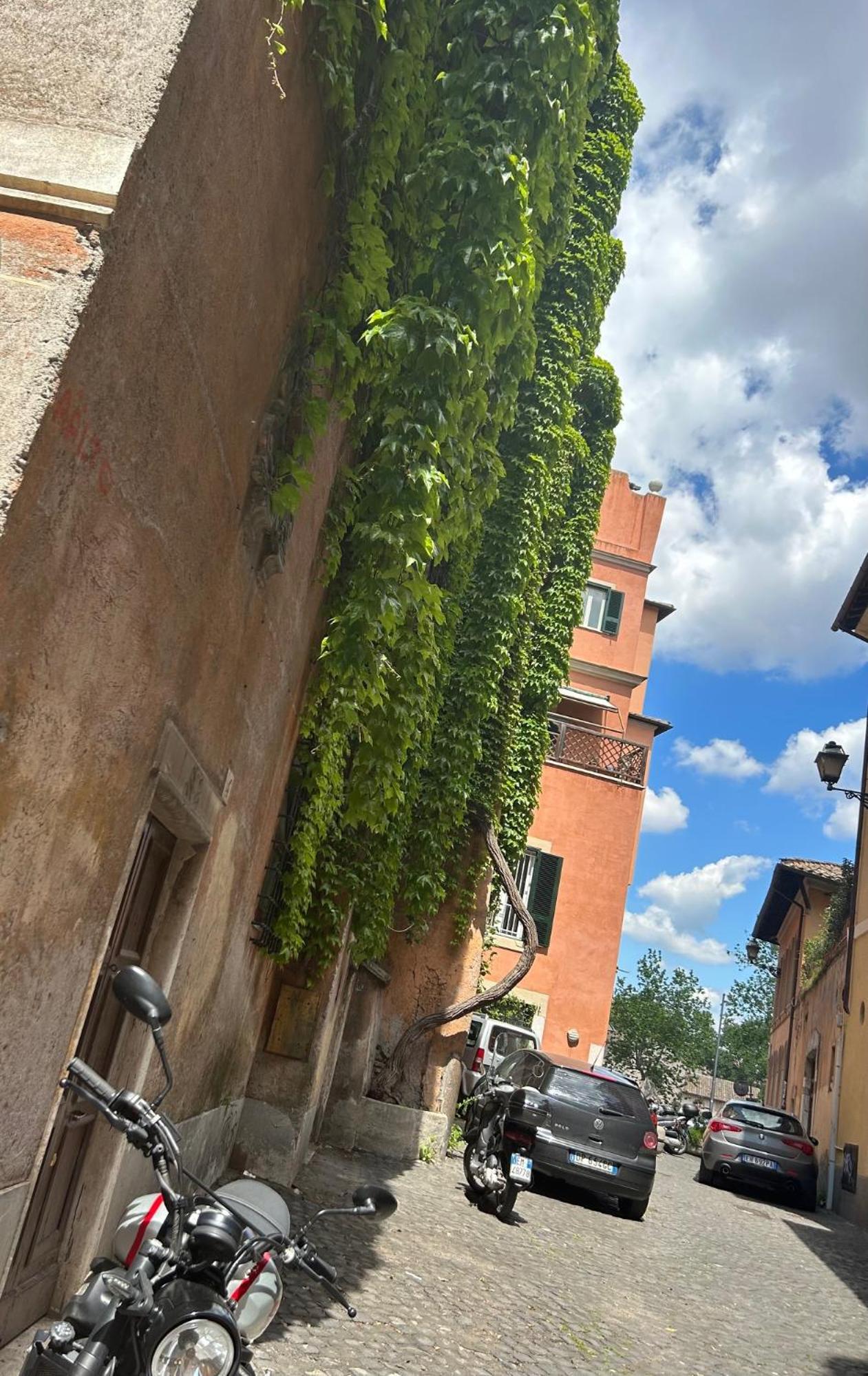 Garden House Trastevere Apartment Rome
