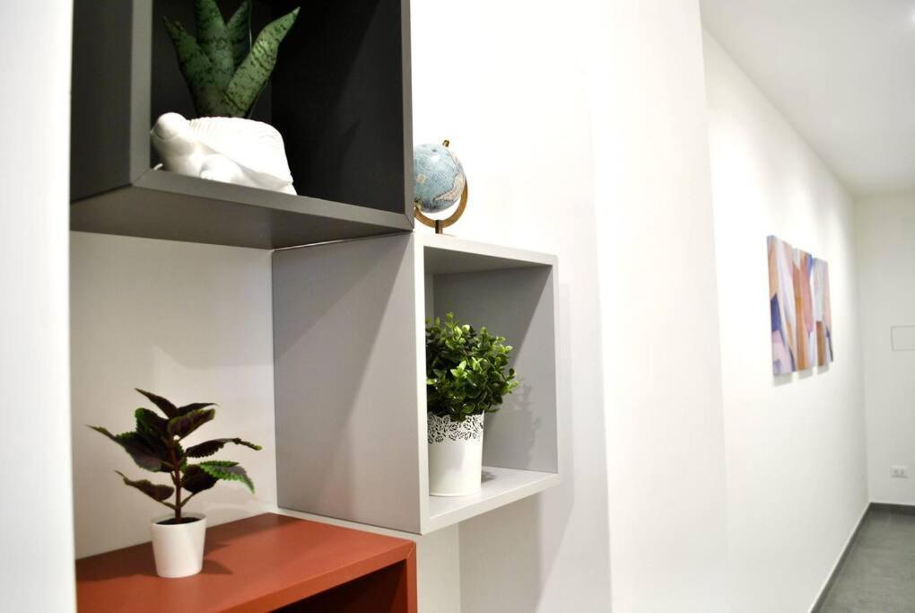 Apartment White Mary House For Two People *