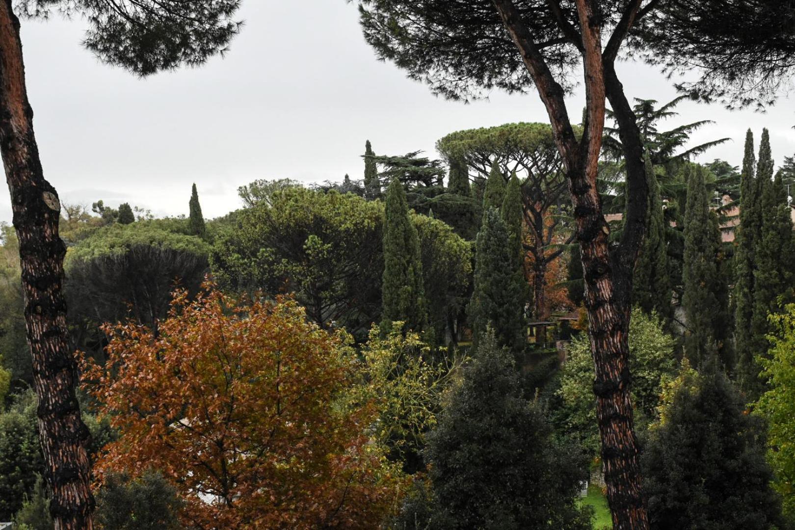 Maison Accademia