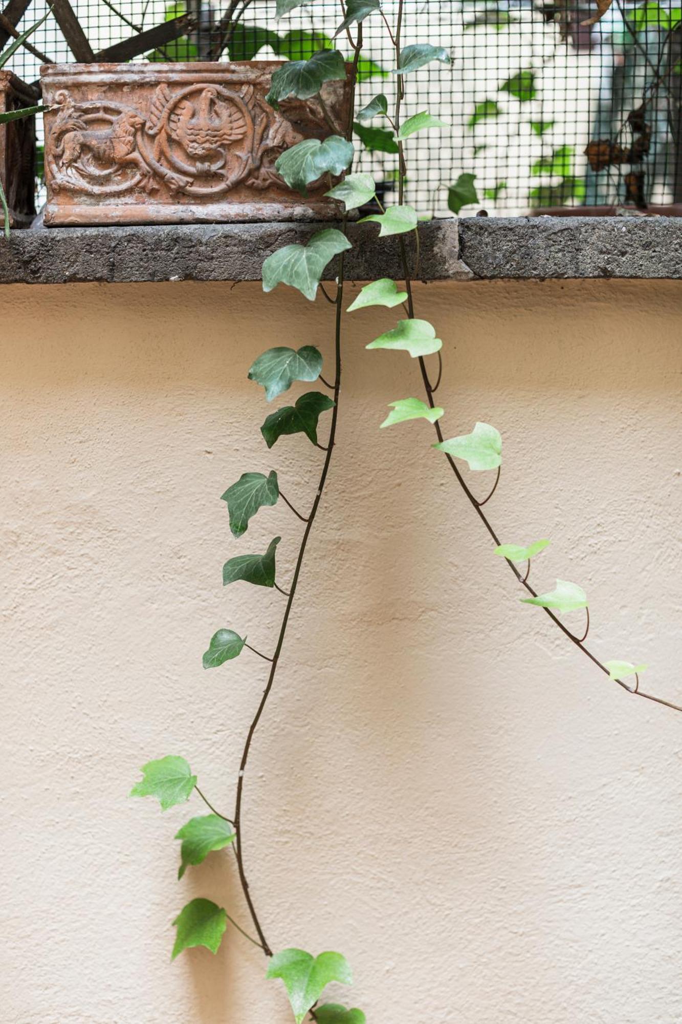 San Pietro Garden House Apartment *