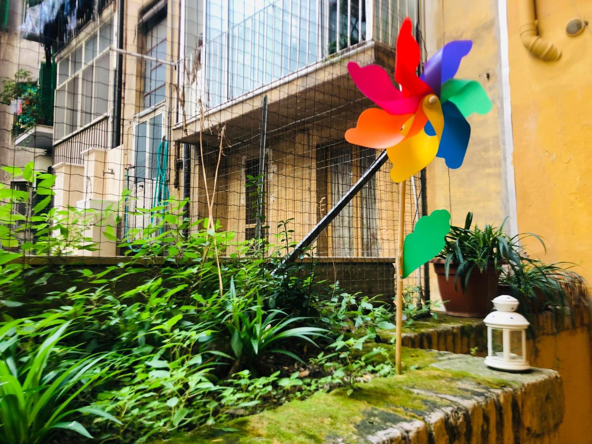 Colibri Rome