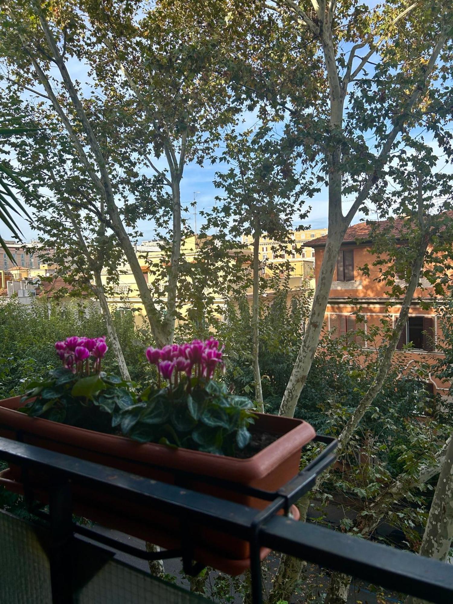 Tiberia * Rome