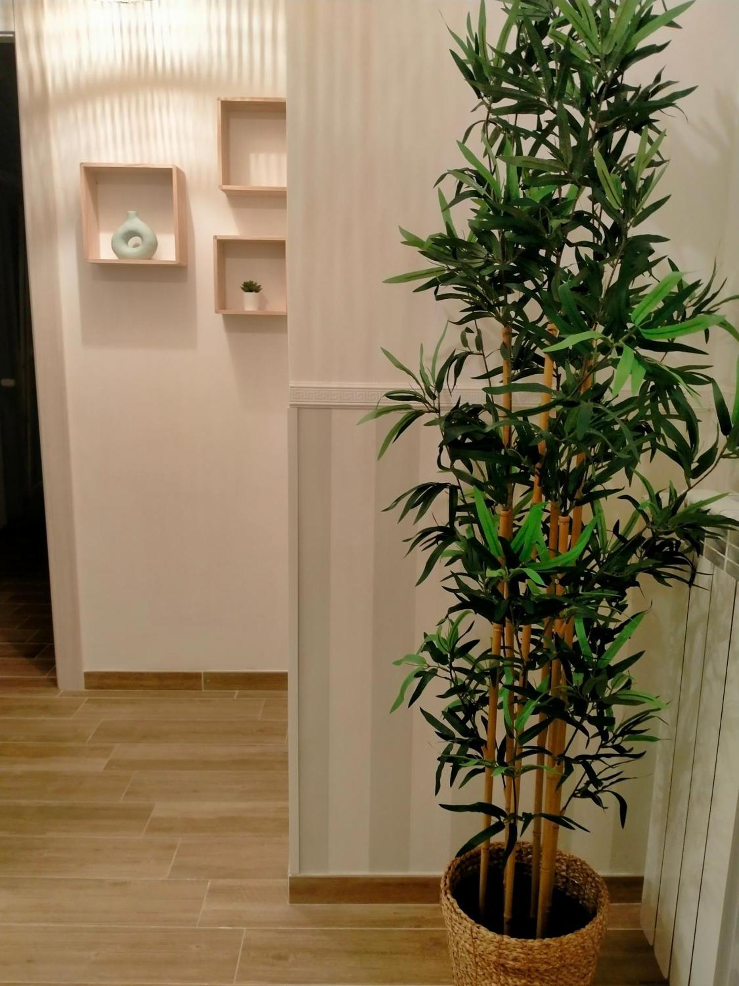 Appartement The Place Turistico
