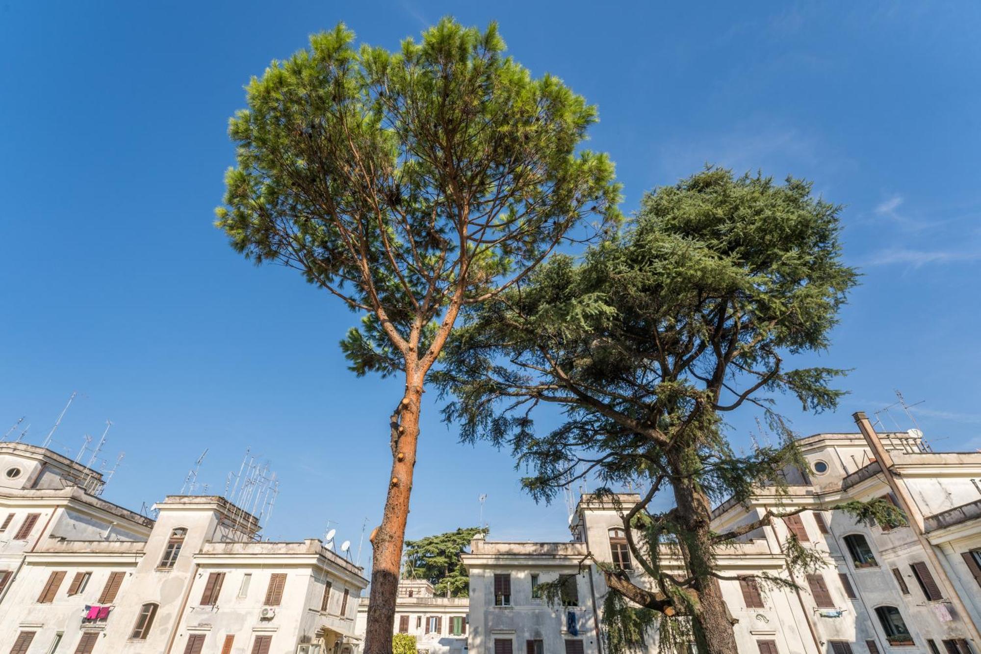 Fisher's In Testaccio Rome