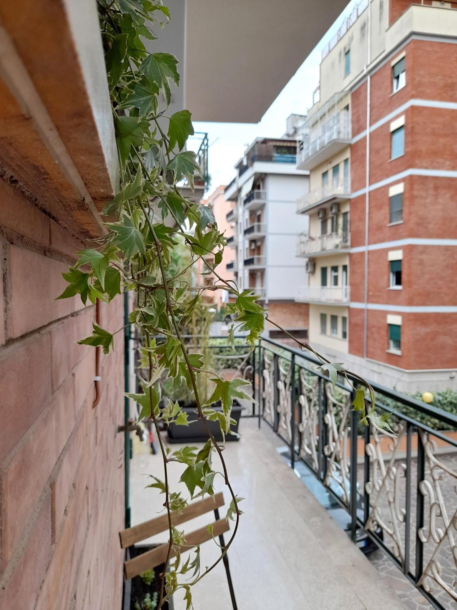 Amber House N.5 - Incantevole Accogliente Luminosa Apartment *