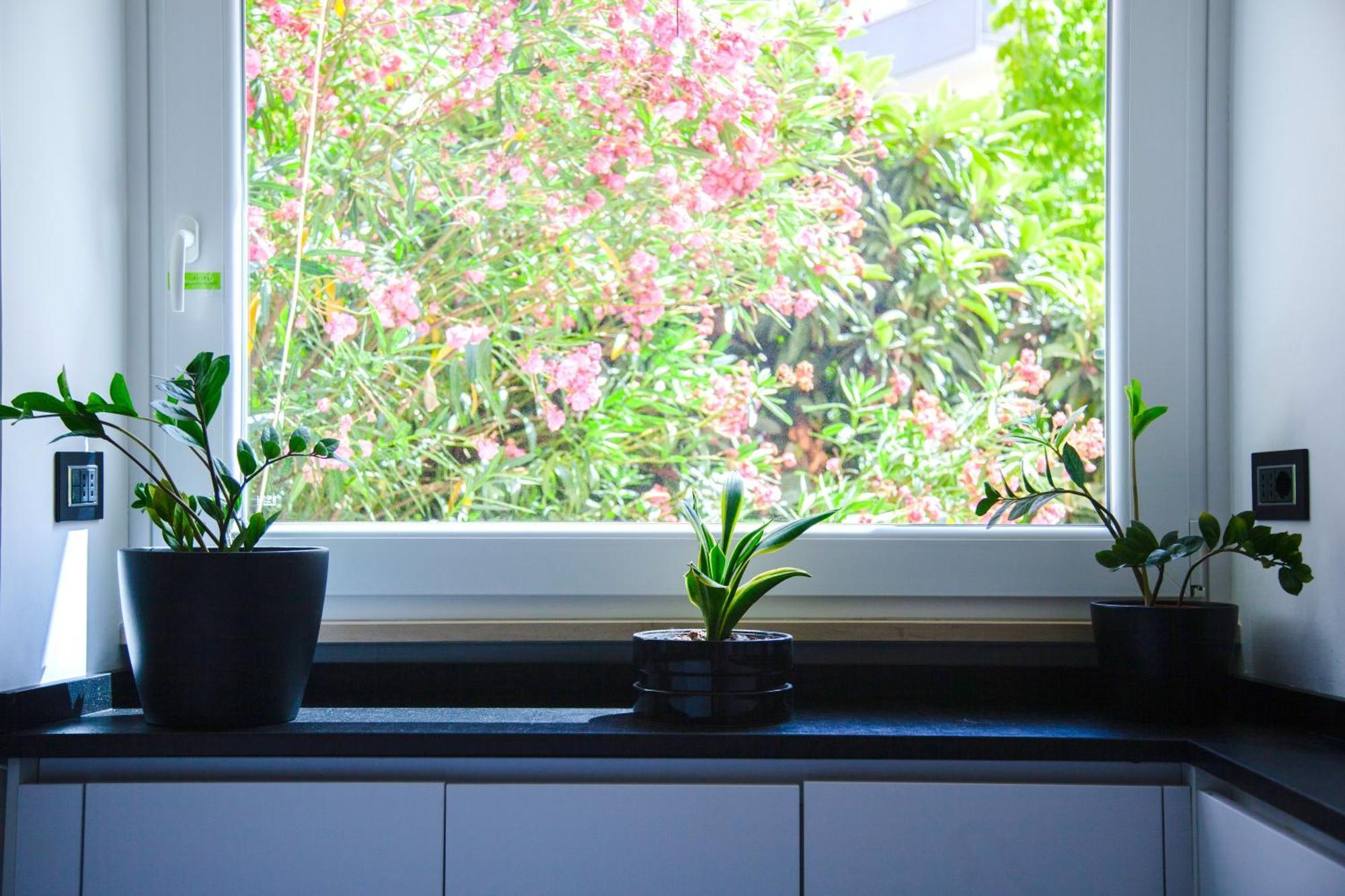 Luxury Modern Flat Near Vatican With Self Check In And Free Street Parking Apartment Rome