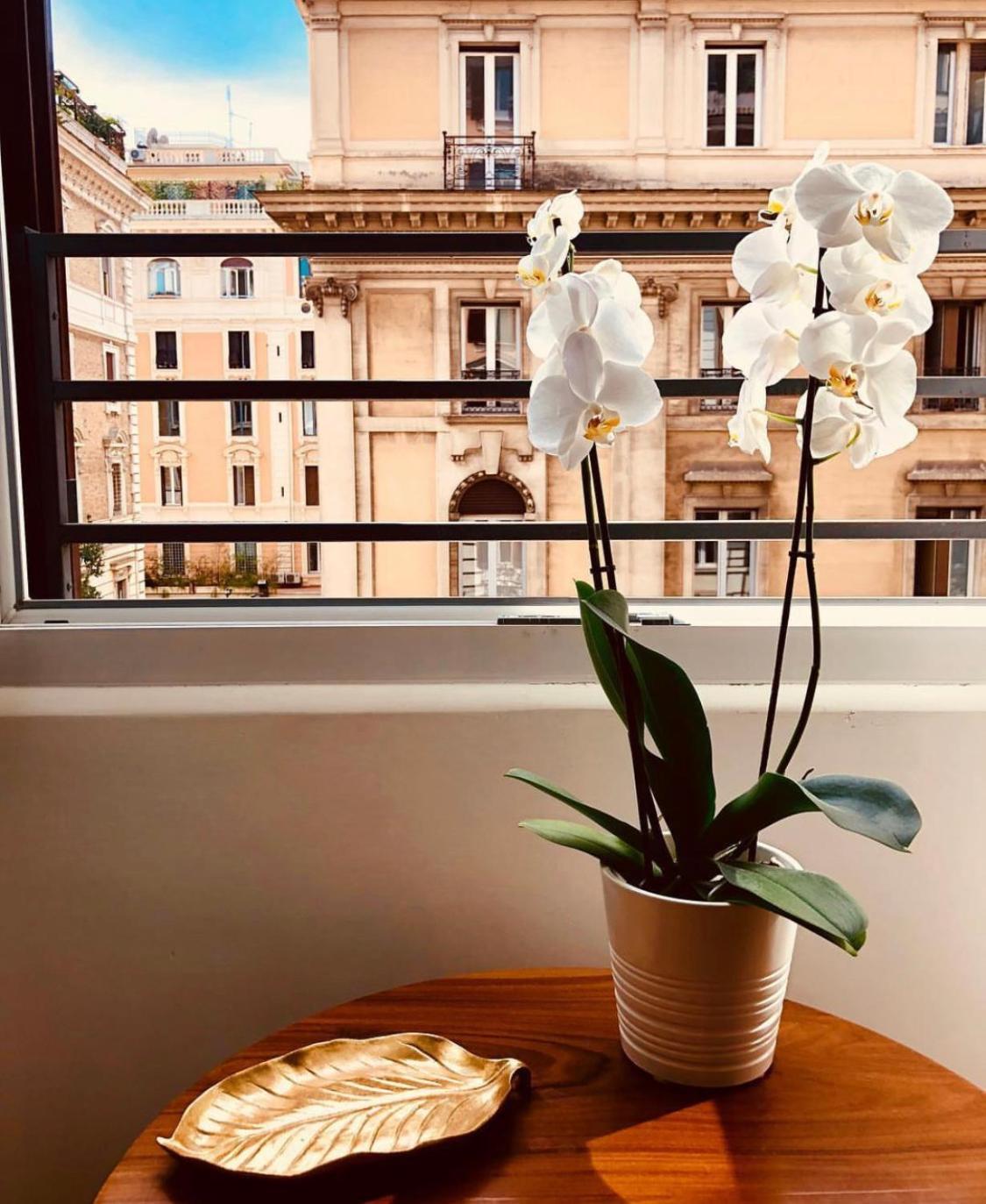 900 Piazza Del Popolo Couette-café