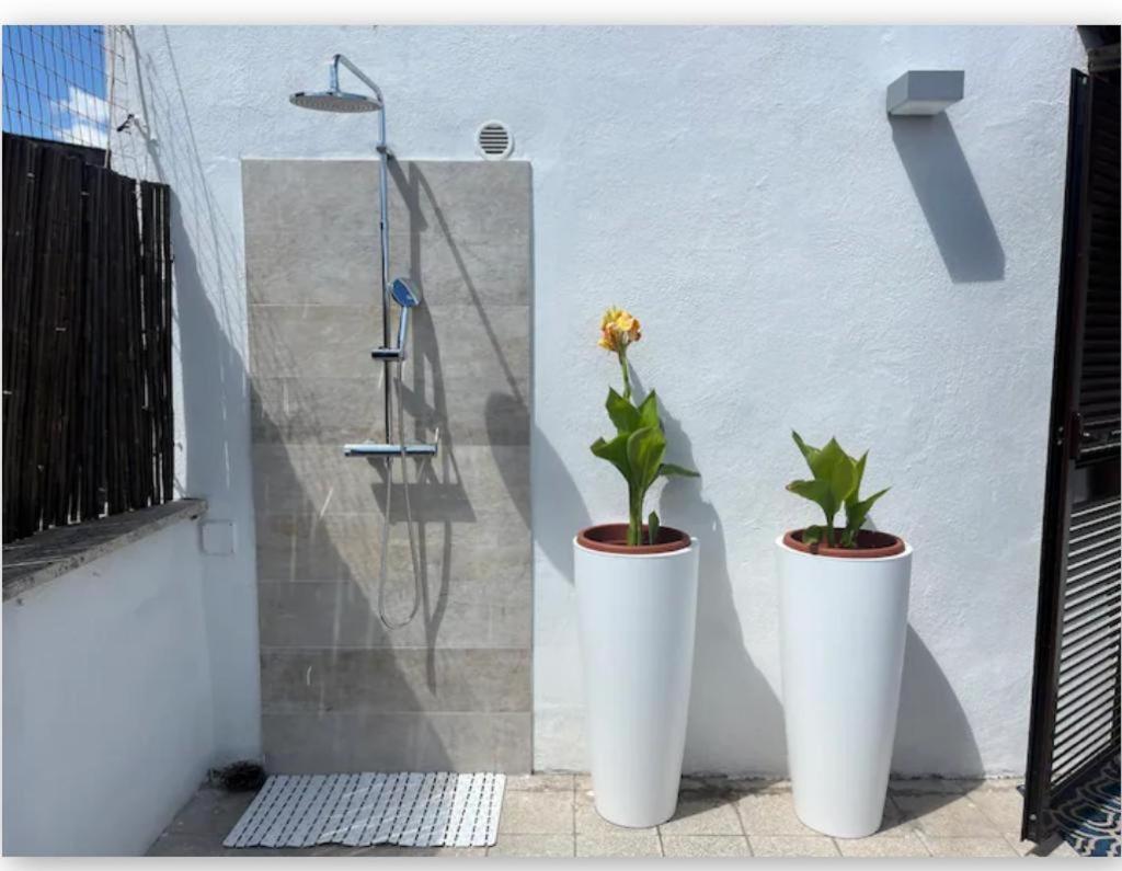 Monteverde Double Terrace Penthouse Appartement