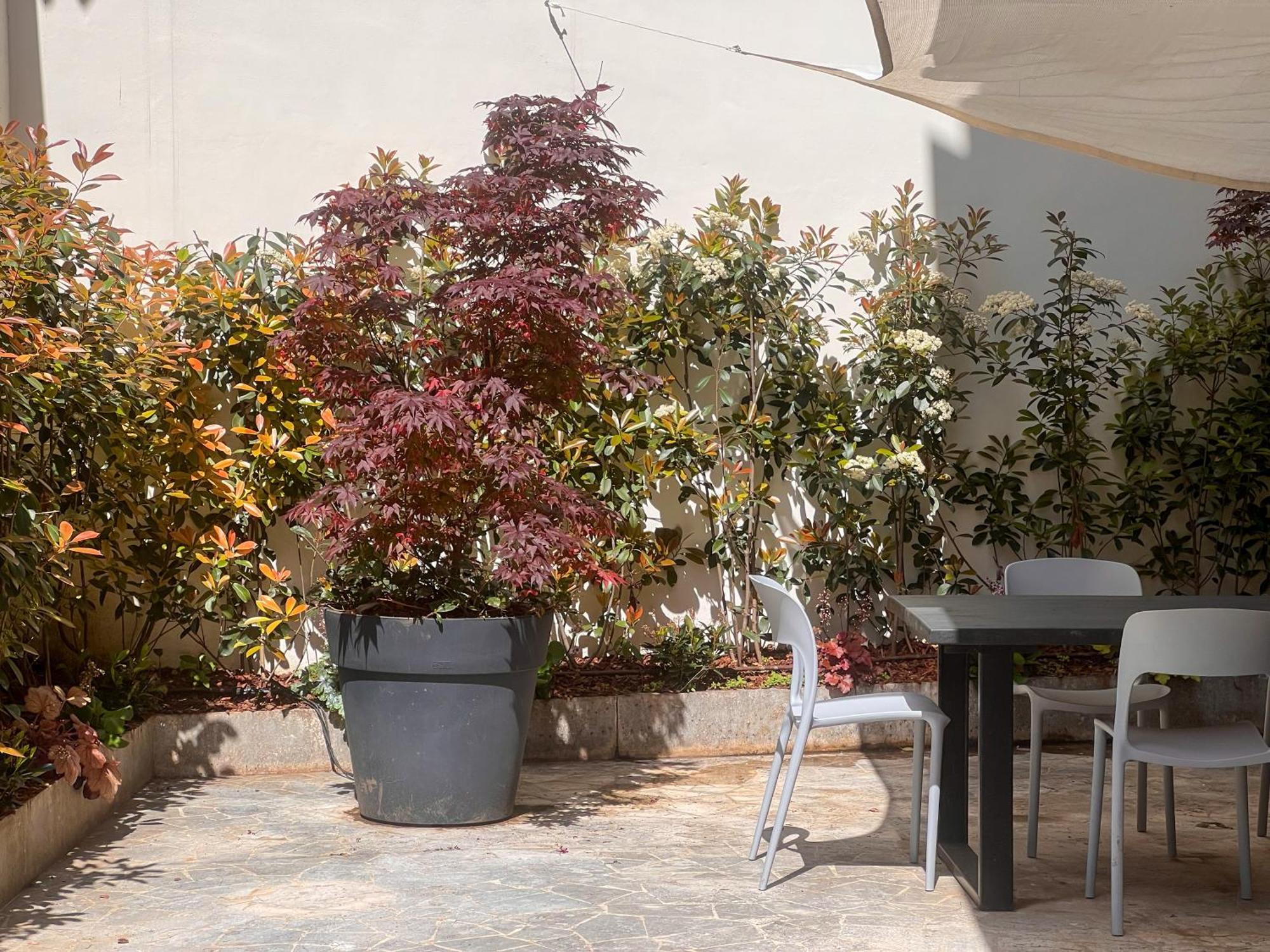 Apartment Casetta Celso *