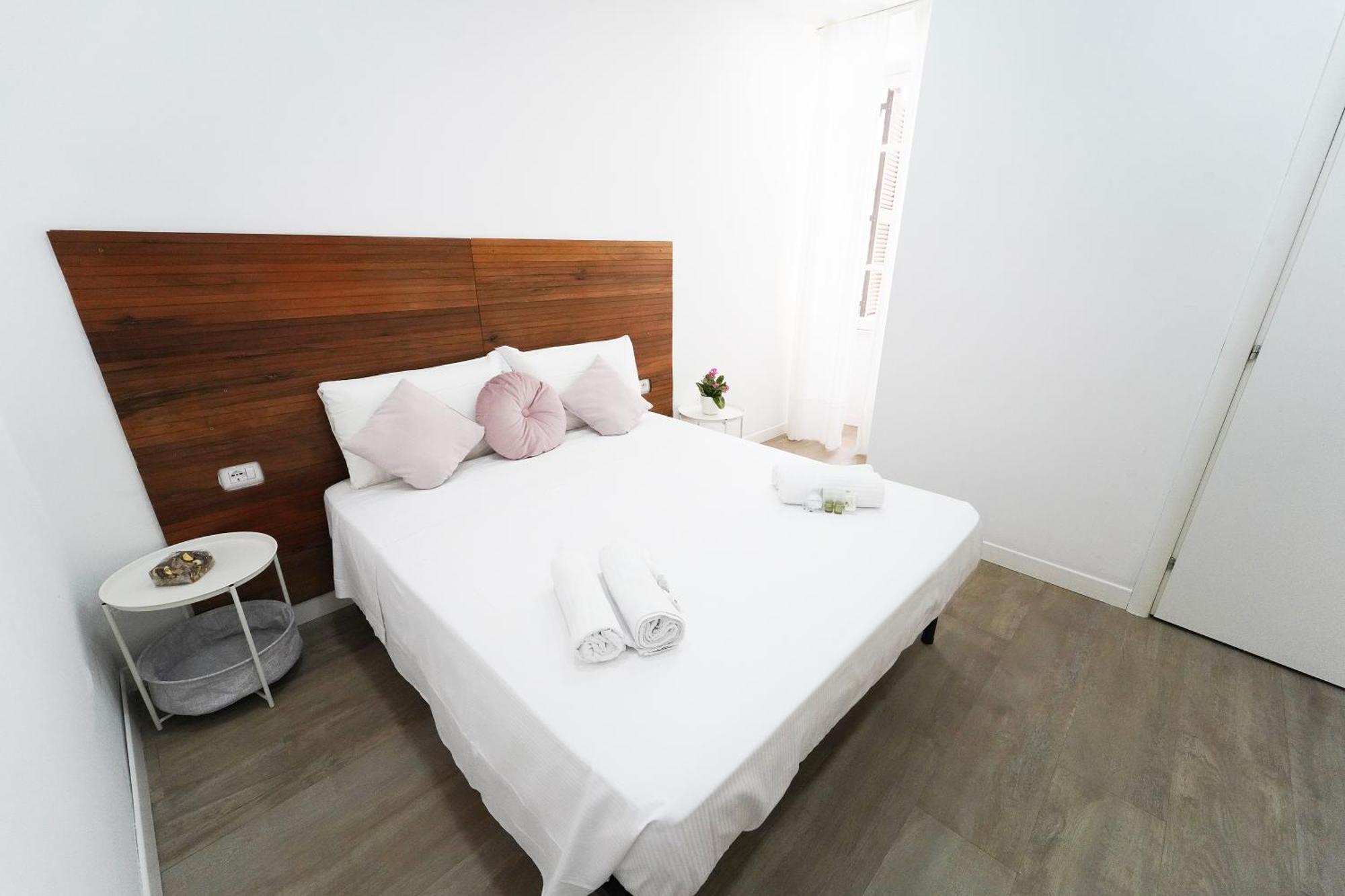 Vatican Whole 3 Private Apartment Rome