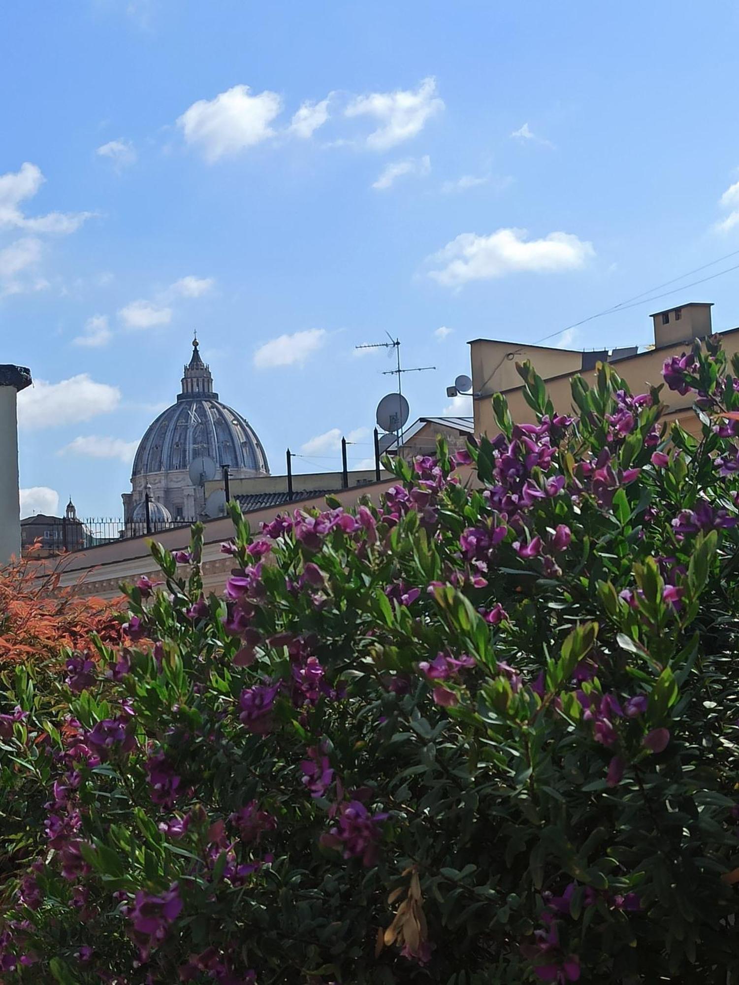Appartement Living By Vatican With Panoramic Terraces In Rome