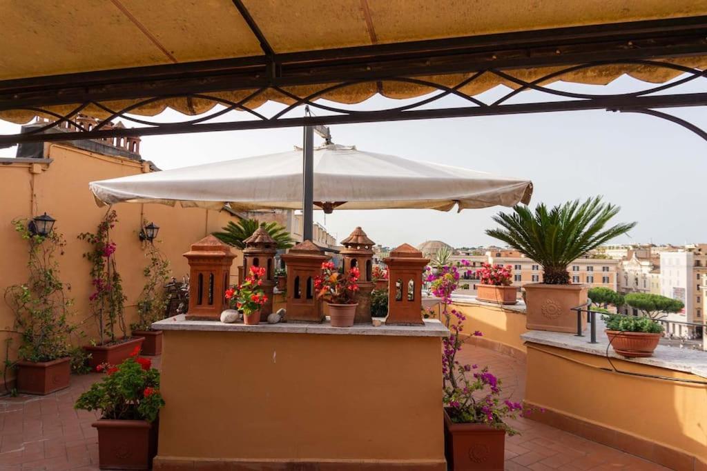 Apartment Brandnew House On The Terrace *