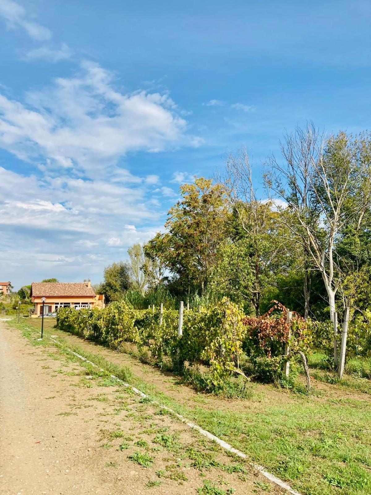 Bubu, Country-chic Rome
