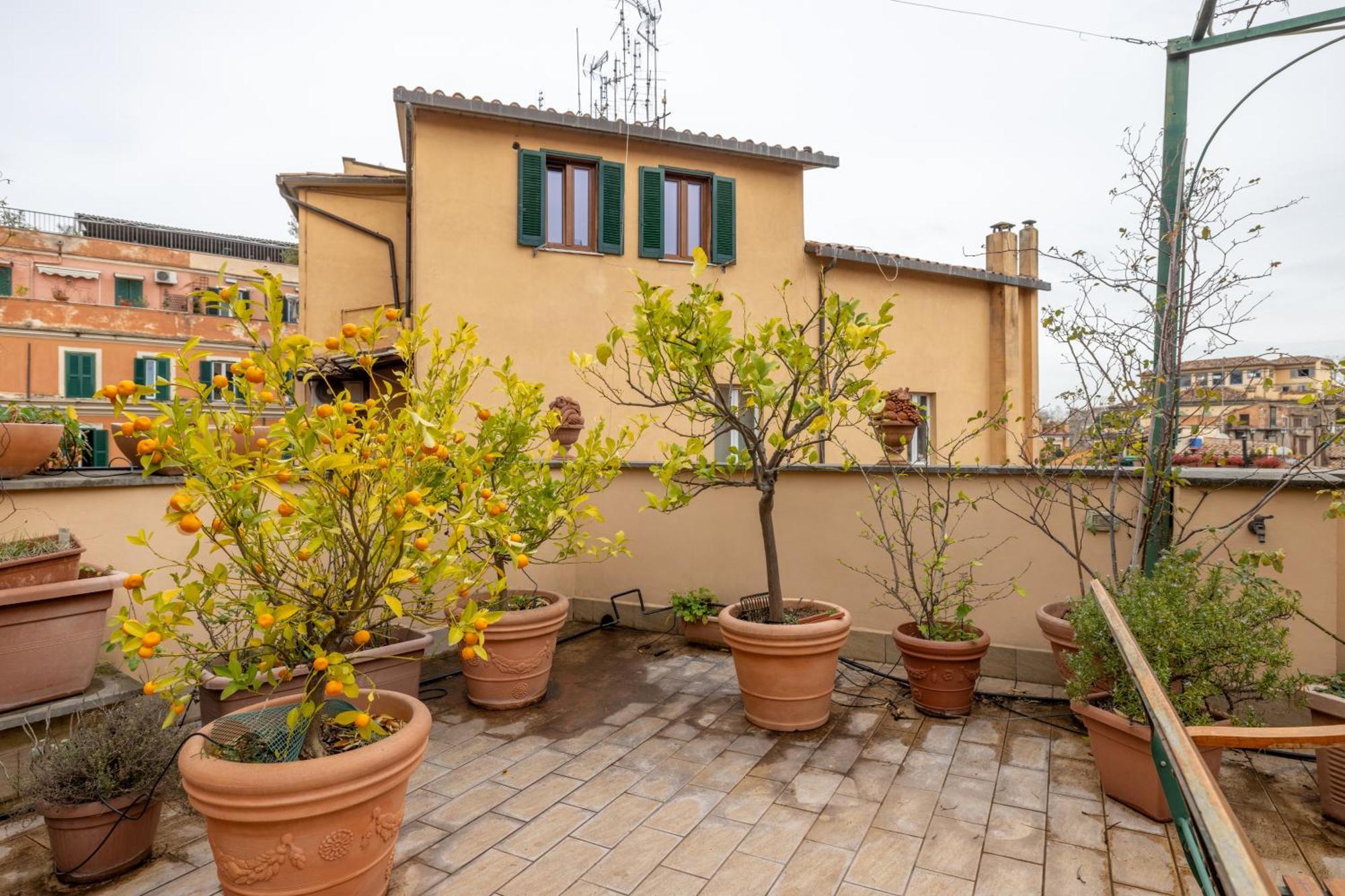 Maison Pelliccia Terrace Apartment *