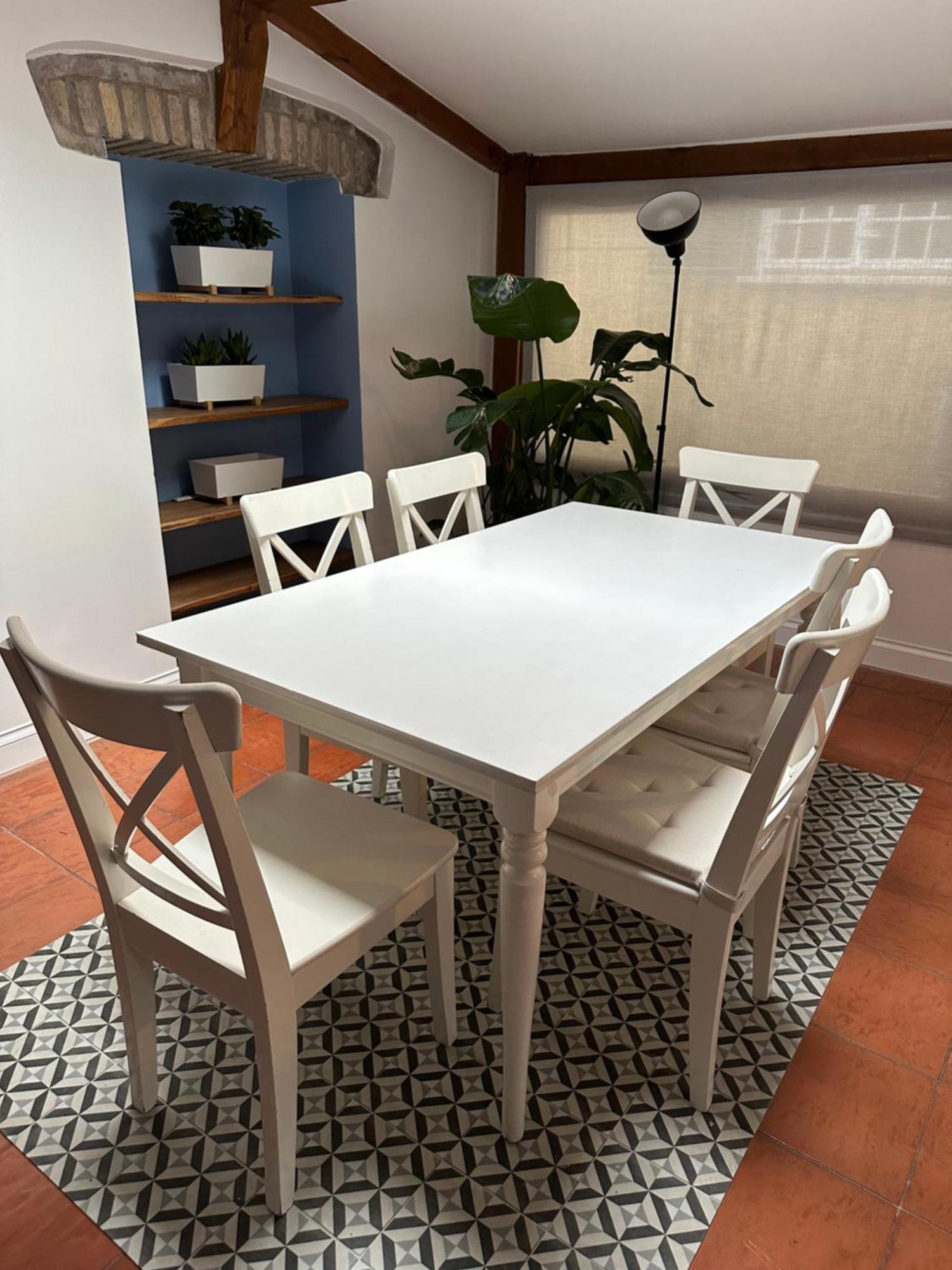 The Vatican Jungle Loft Con Giardino Vicino Al Vaticano Apartment Rome