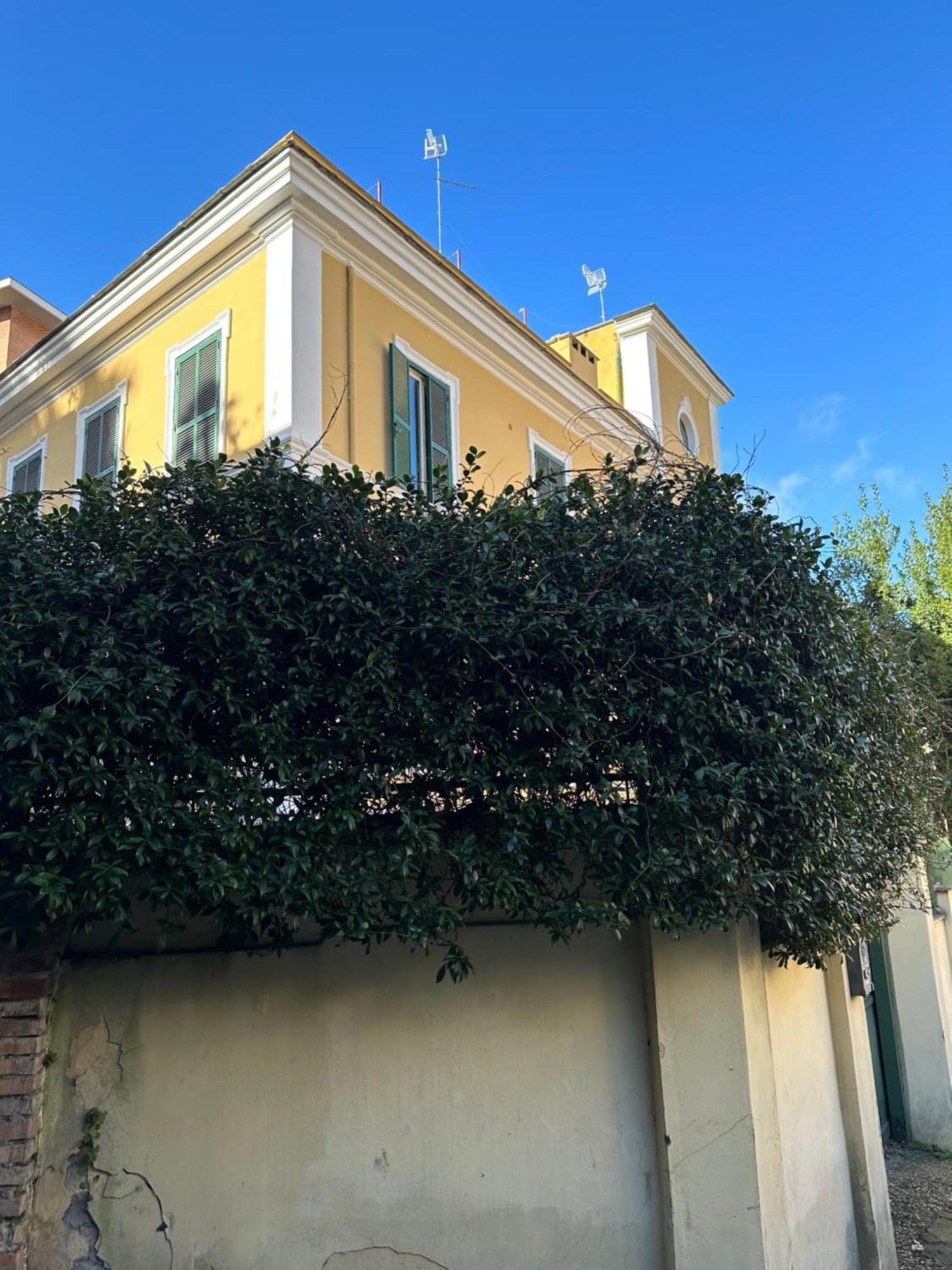Apartment The Vatican Jungle Loft Con Giardino Vicino Al Vaticano Rome