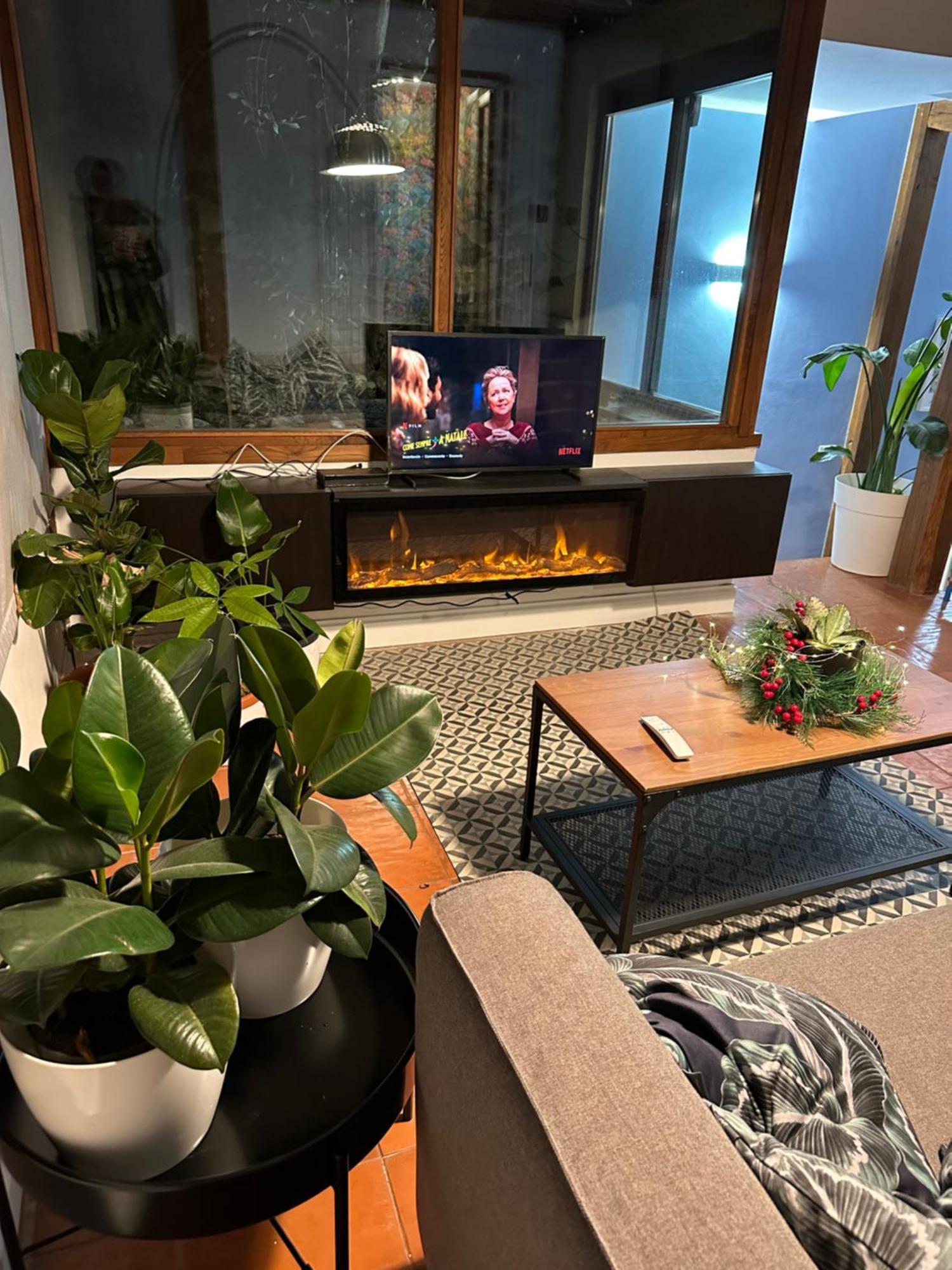 The Vatican Jungle Loft Con Giardino Vicino Al Vaticano * Rome