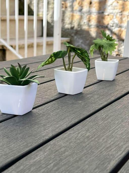 Appartamento Virgy Green House