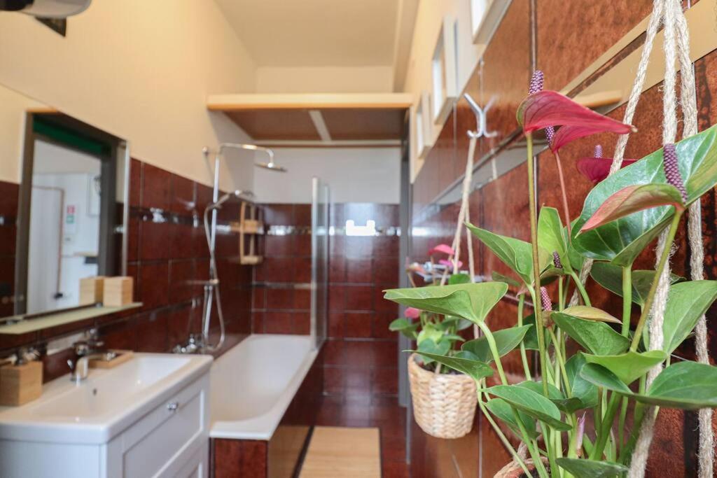 Appartement Cos24