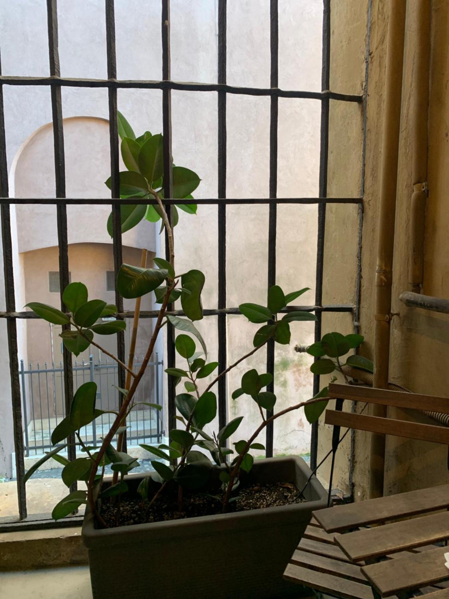 Casacau Apartamento
