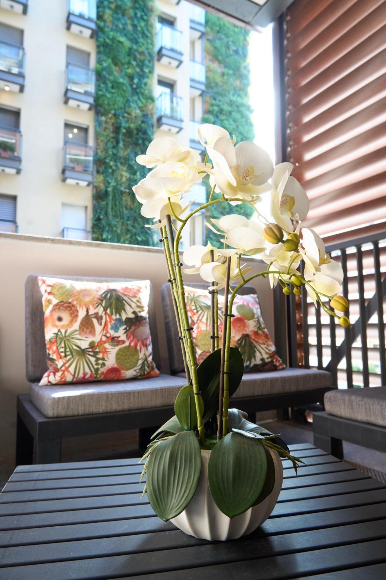 Trastevere Boutique With Gym And Steam Shower Apartamento *