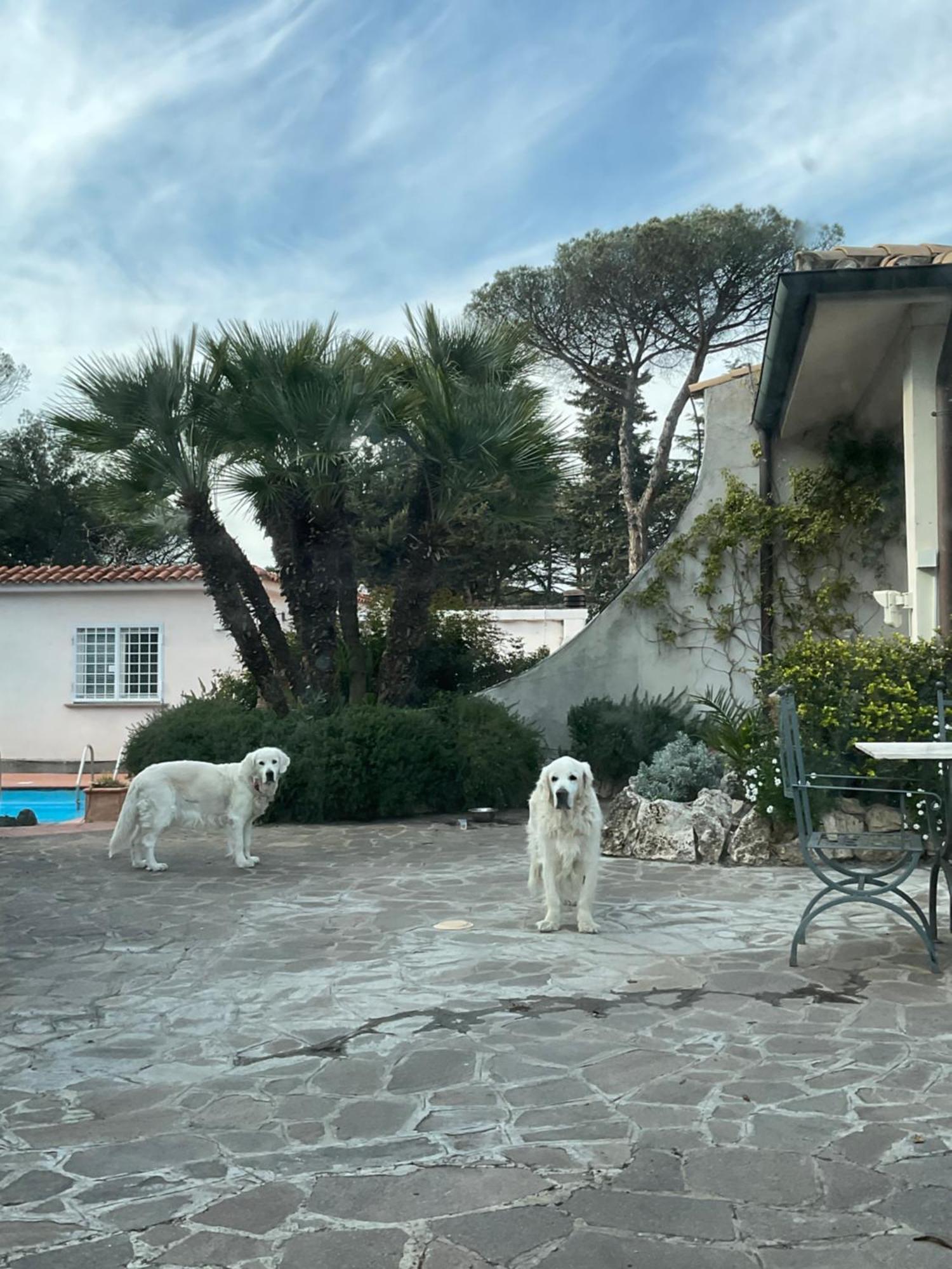 Villa Di Lusso Con Piscina *