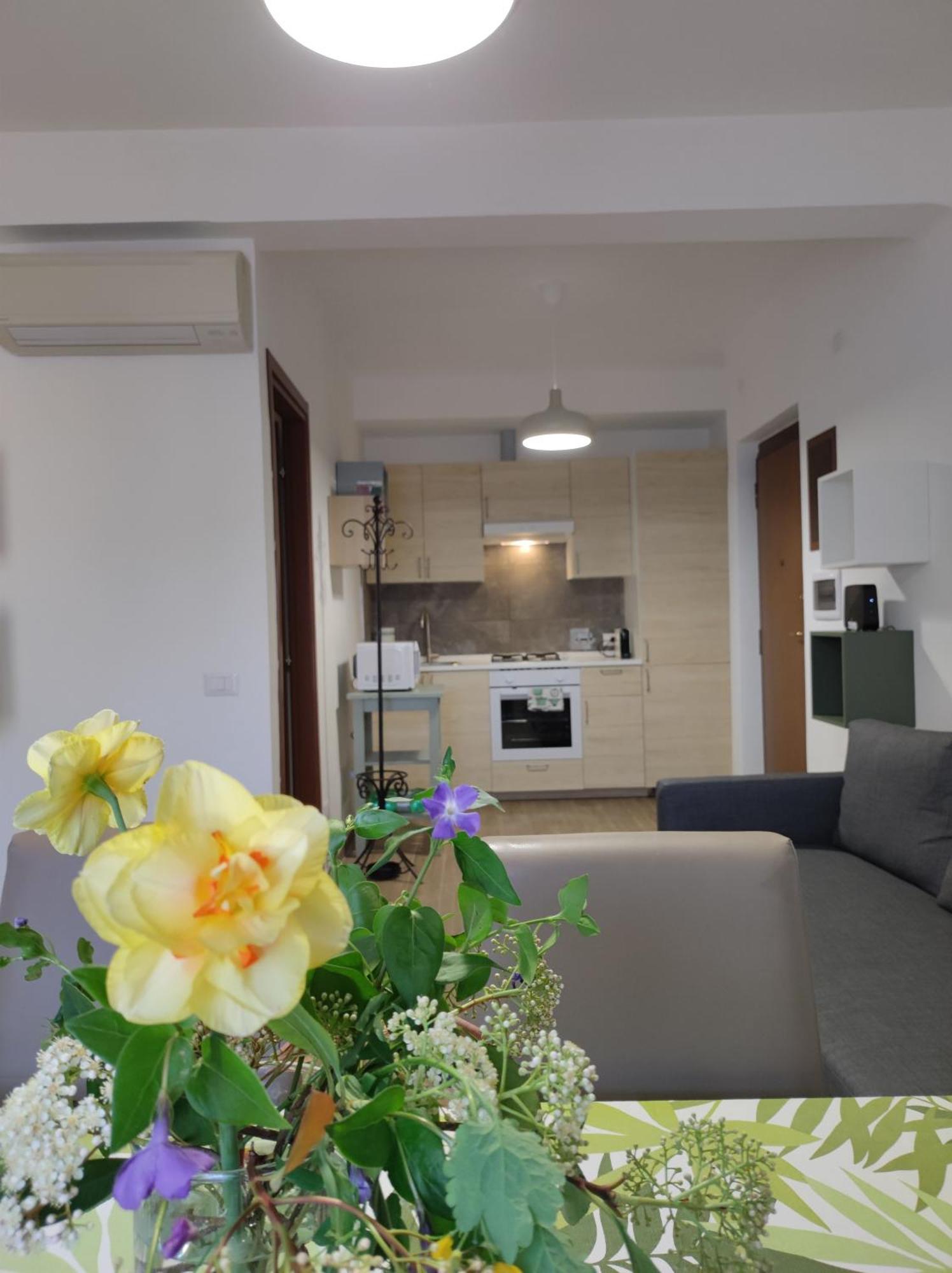 Consoli Apartamento
