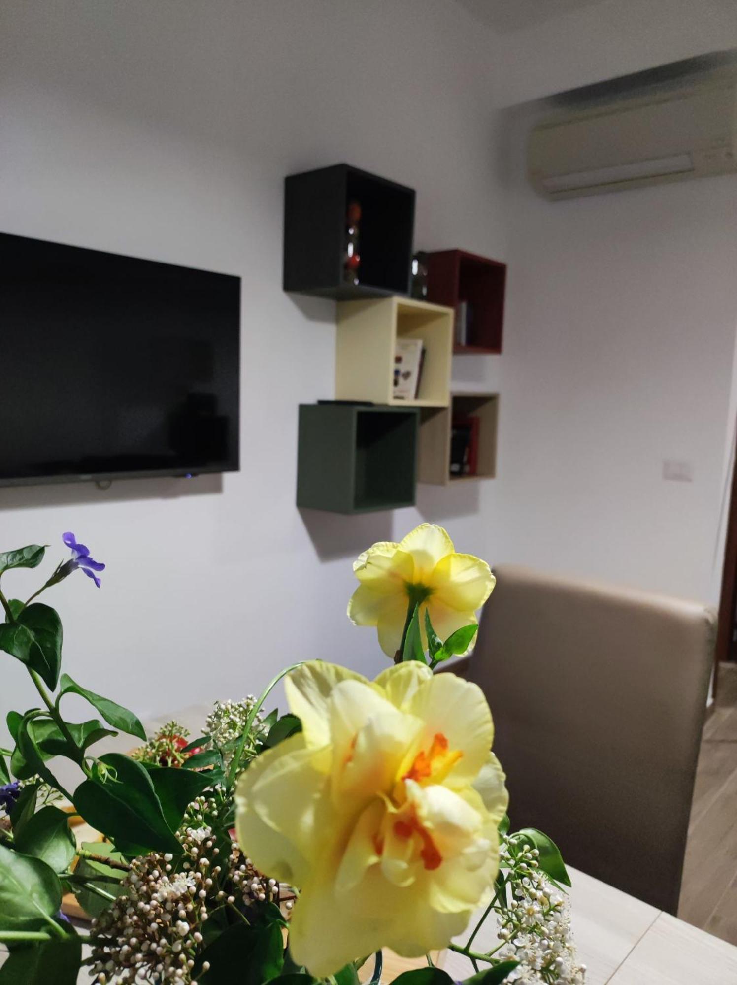Apartamento Consoli *
