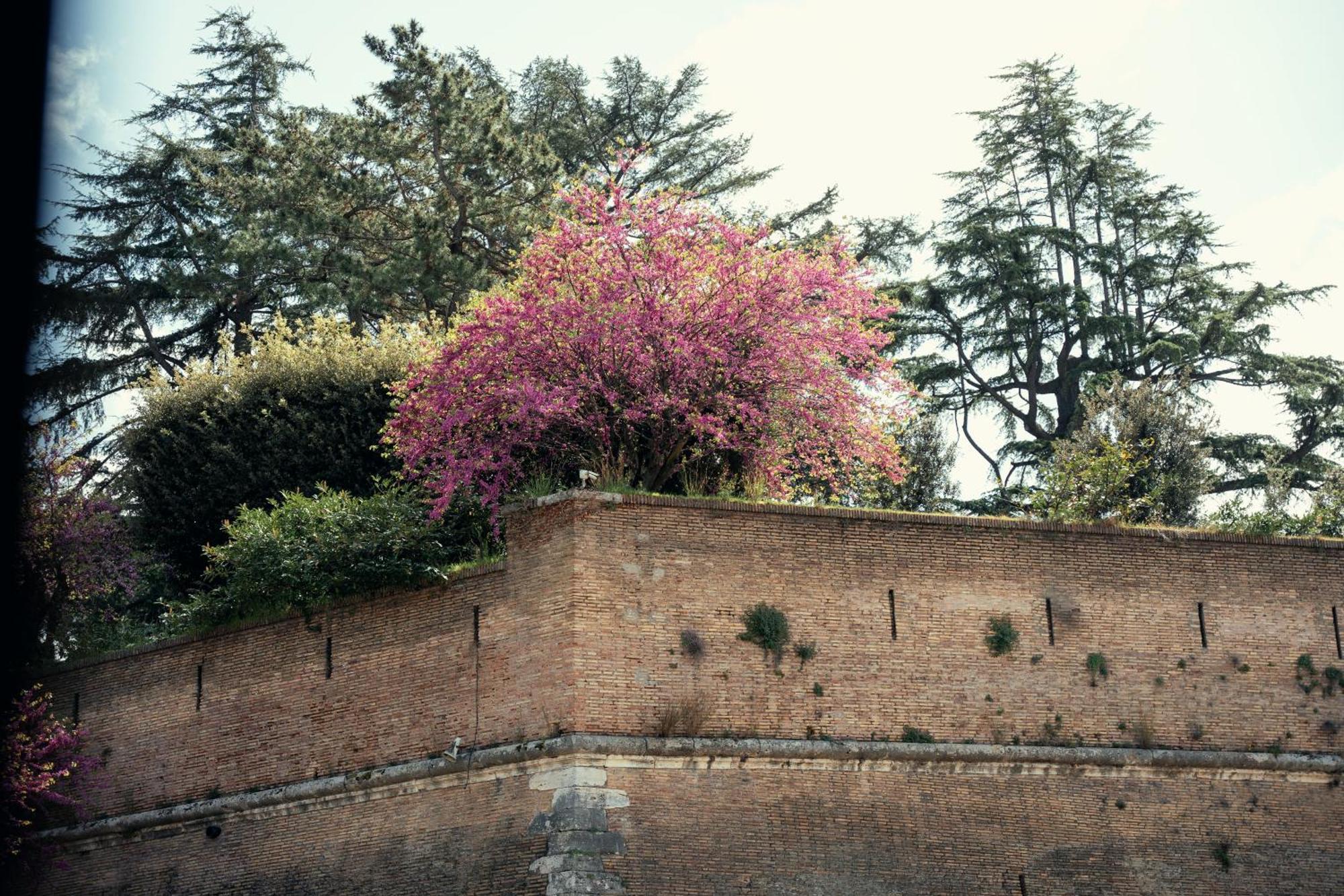 Art House Vaticano Luxury Appartement Rome