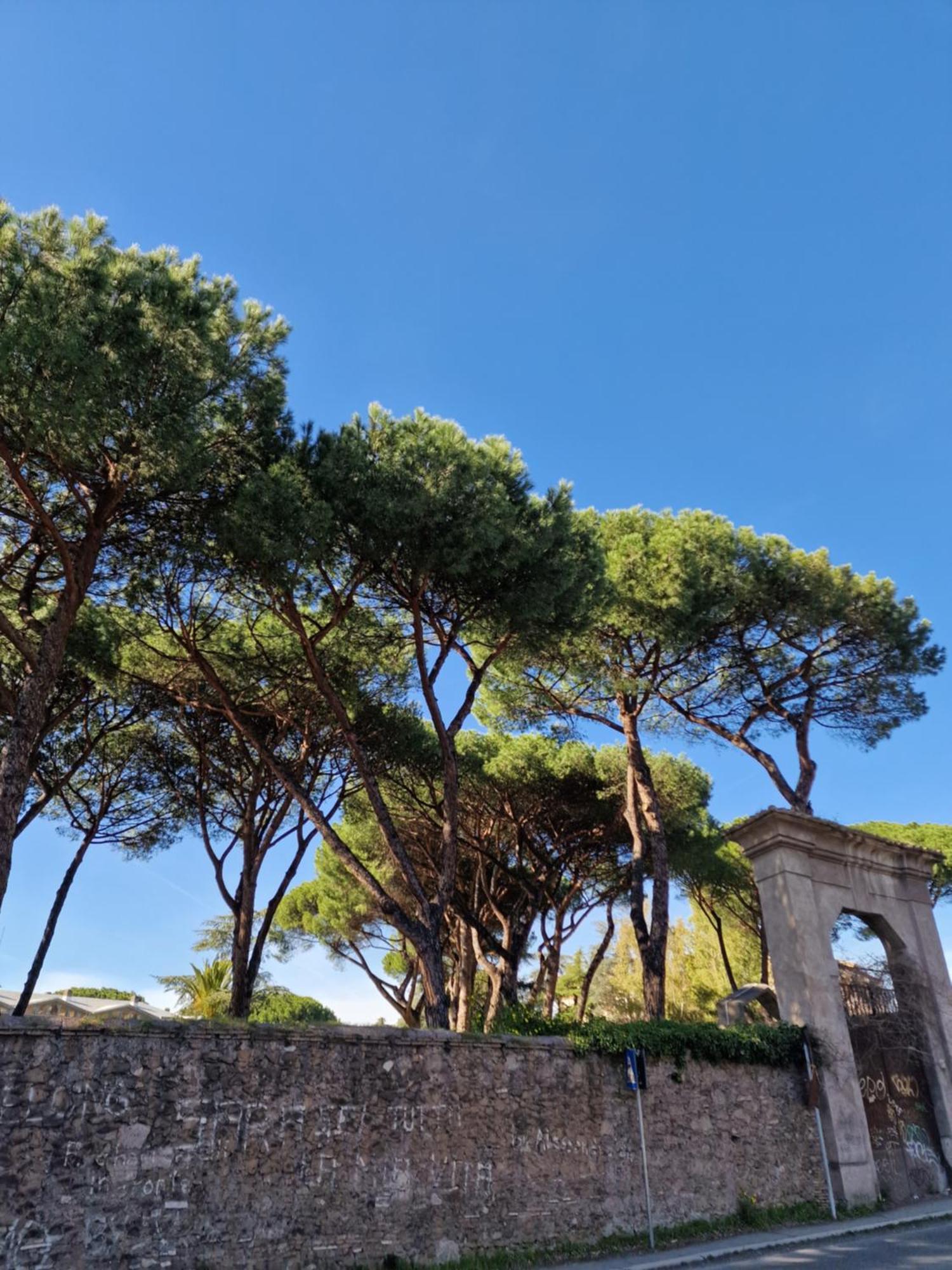 Appartement Vacanze Romane - Vatican
