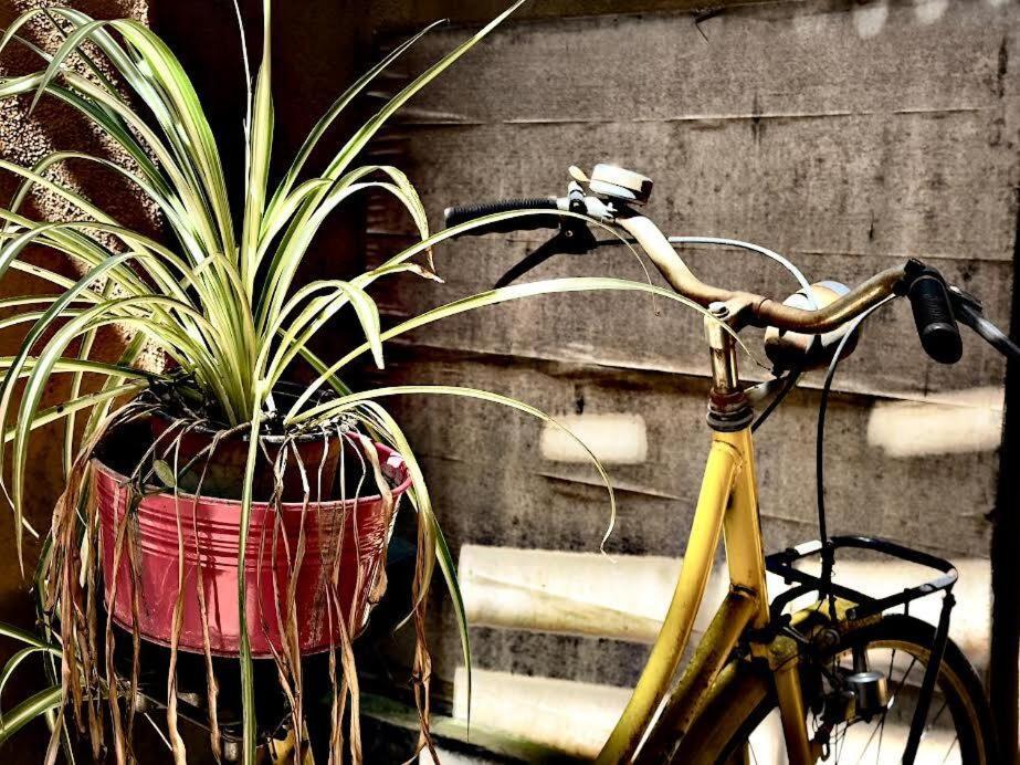 Maya Rhome Trastevere
