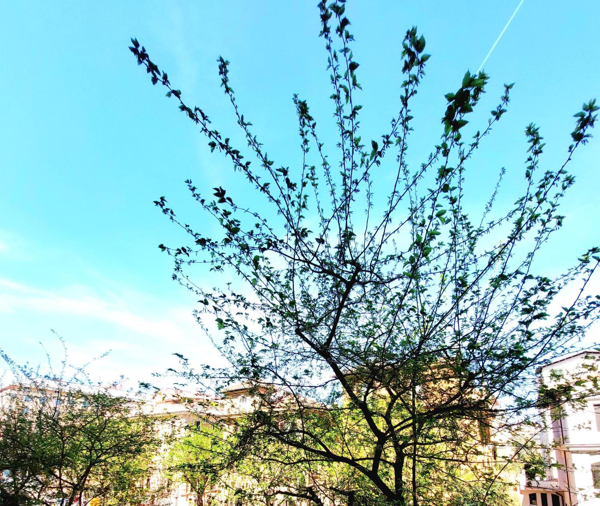 Appartement Vanity - 4 Bedrooms With 4 Bathrooms - Ac & Wifi *