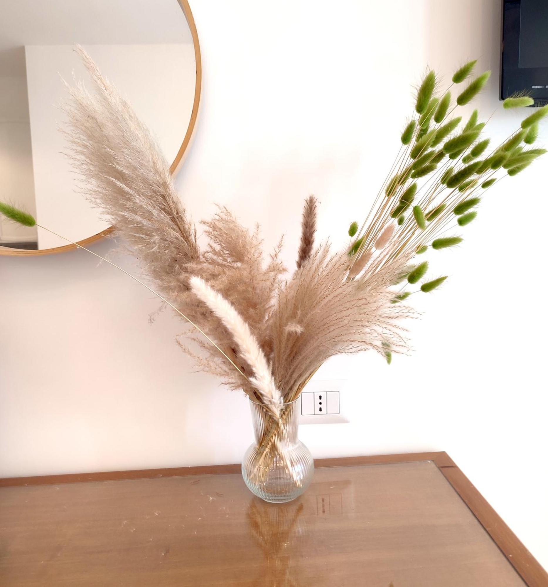 Nest Rome