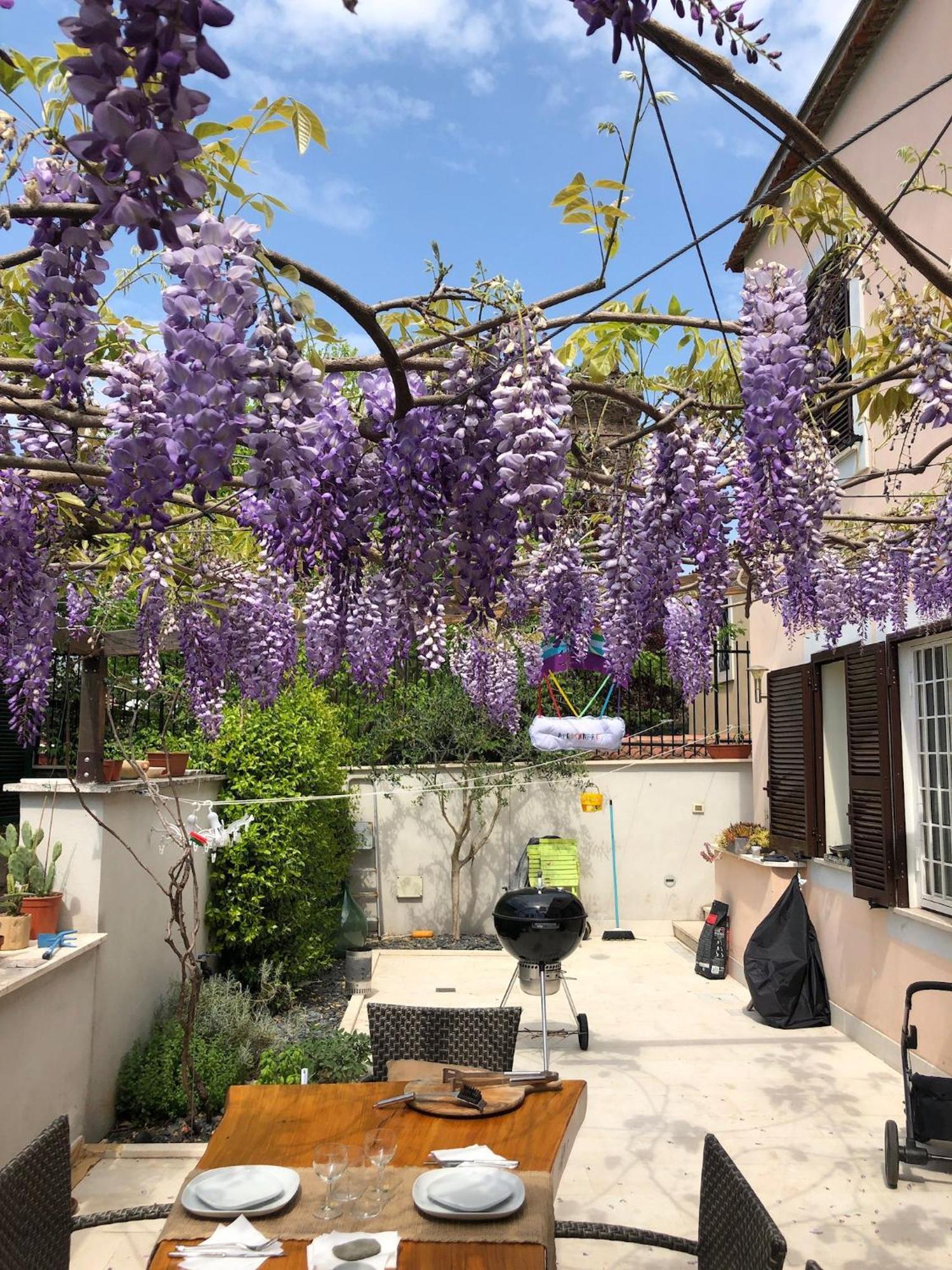 Apartment Casa Di Sarah - Metro Porta Furba - Terrace Rome