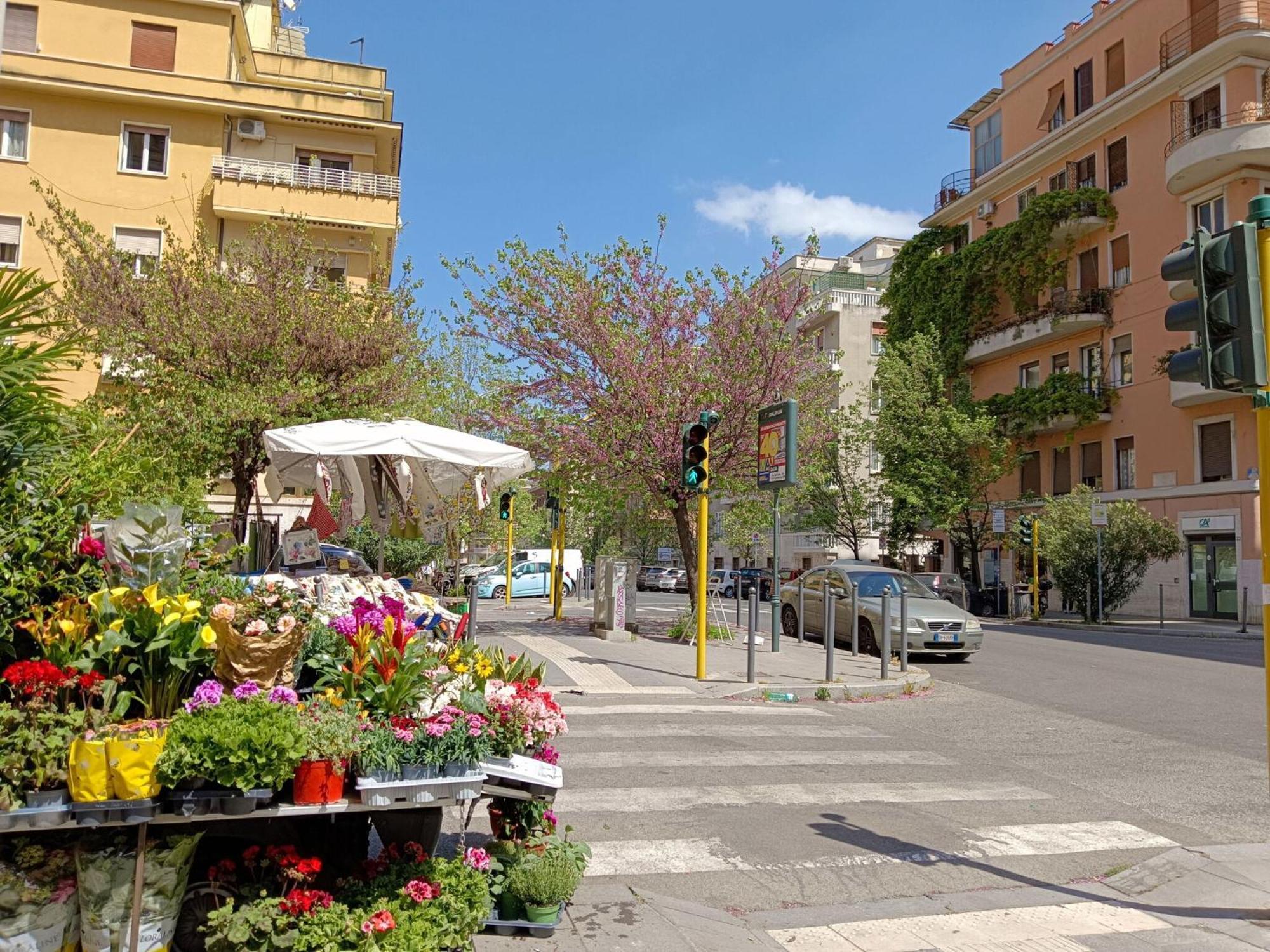 Livorno By Halldis Roma