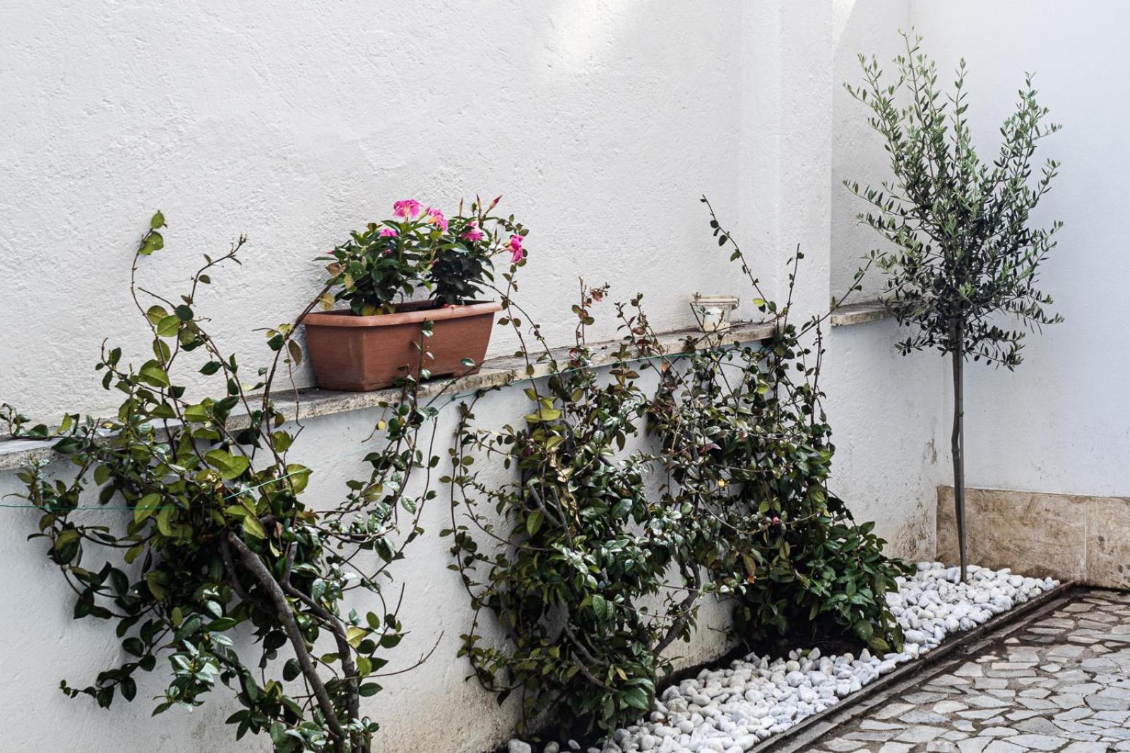 Apartment Flaminio * * * * * - Loft Con Giardino *