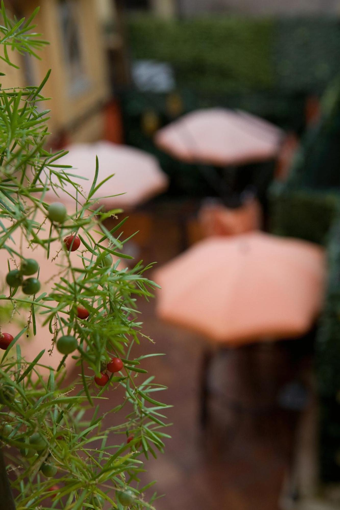 Bed & Breakfast Sweet Dream Trevi Rome