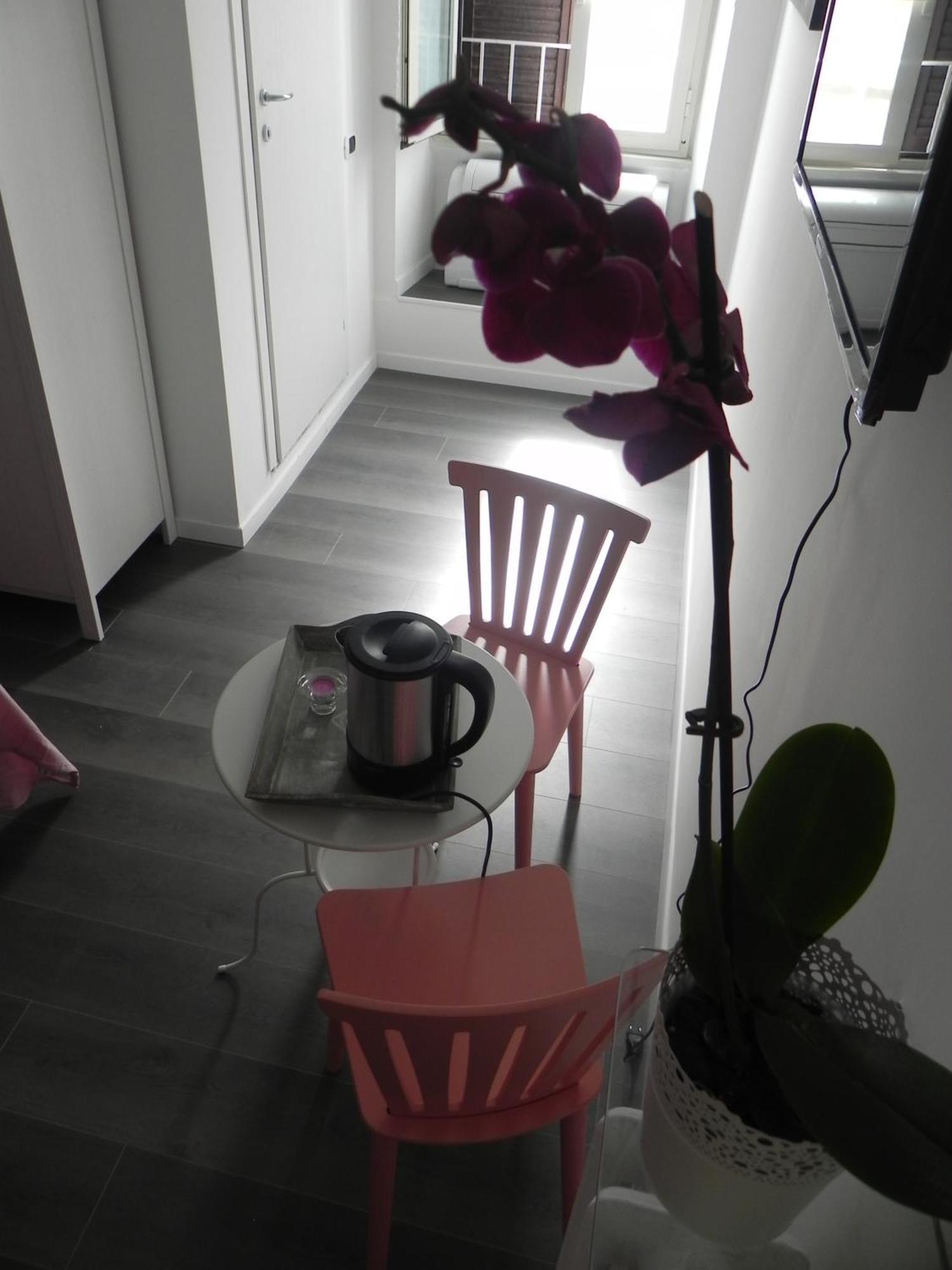 Guest house Vica Pota Rome